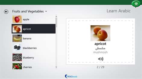 Learn Arabic-Visual Dictionary Screenshots 2