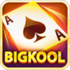 Bigkool Online