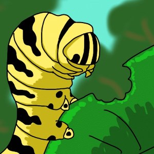 Caterpillar's Micro Adventure