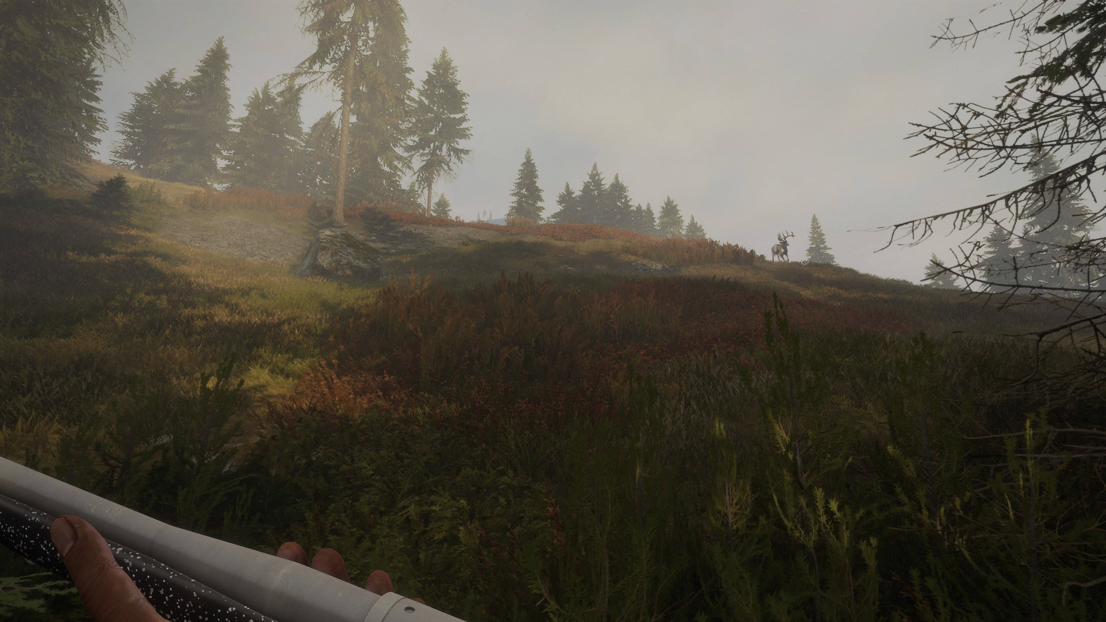 theHunter: Call of the Wild™ - Hunter Power Pack - Windows 10 | Xbox | Chiave | Privato