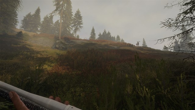 theHunter: Call of the Wild - Hunter Power Pack - Windows 10 screenshot 3