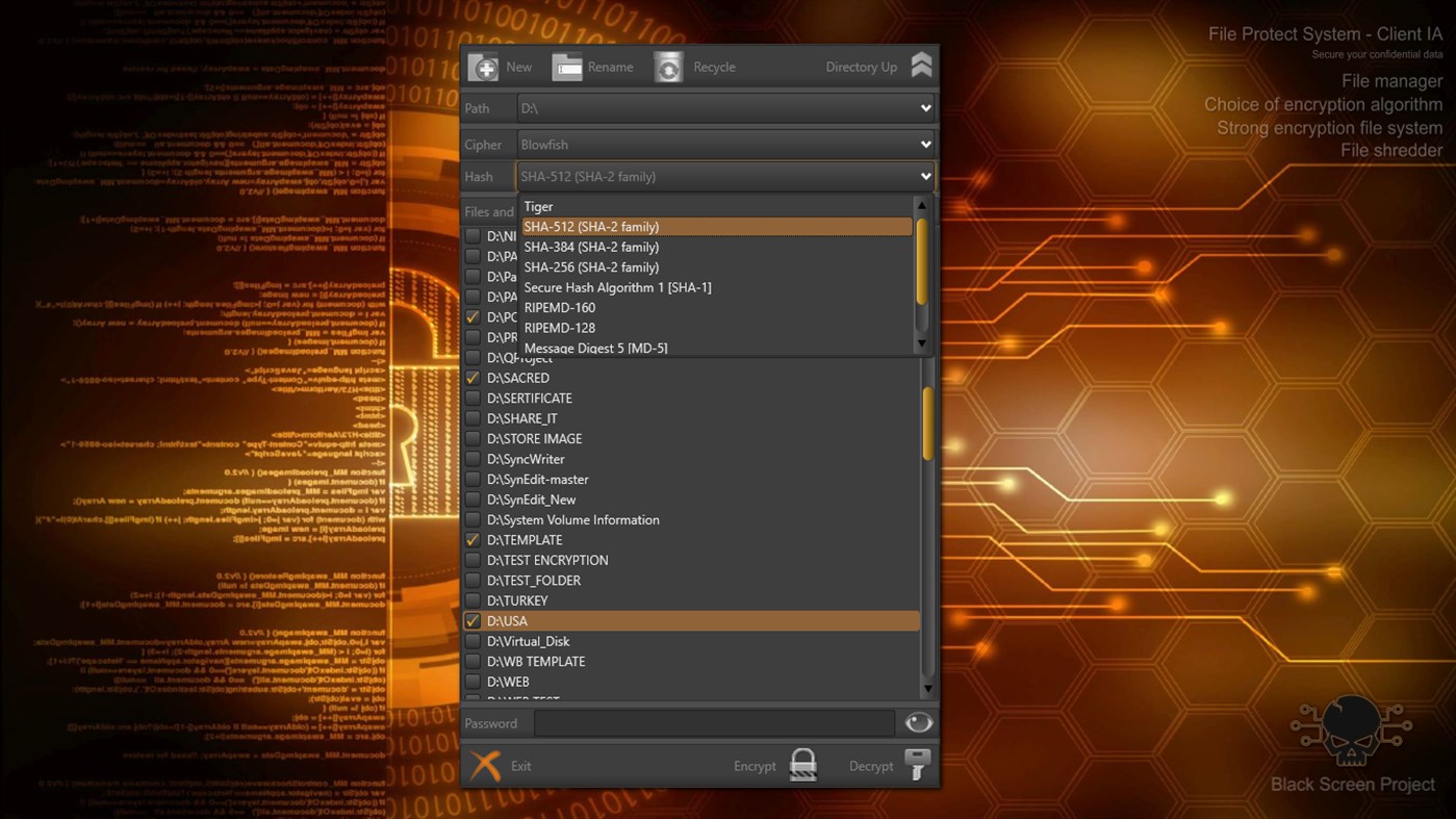 #3. File Protect System - C (Windows) 作者: GEYA-92 OOD