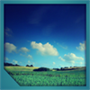 Grassy lands