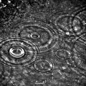 Raindrops Wallpapers Lite
