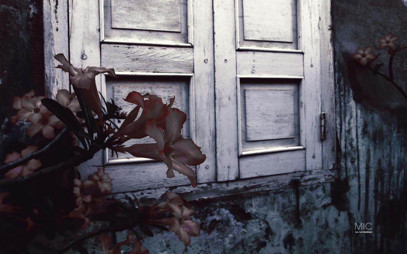 Backrooms окна. Окно ночью. Прекрасный вид из окна. Window aesthetic. Prison escape судоку.