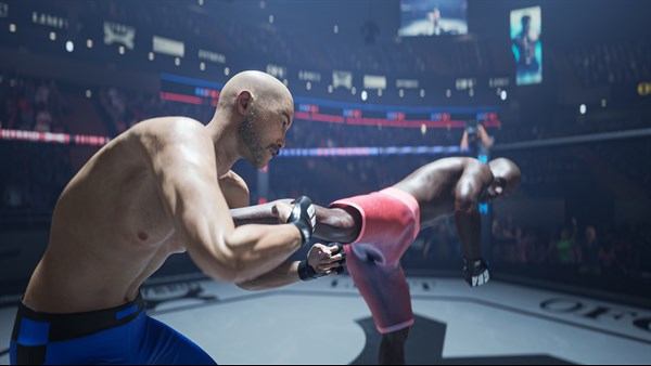 Ultimate Fighting Club — 2