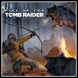 ROTTR - Endurance Mode
