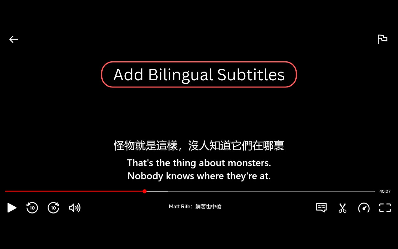 Netflix Bilingual Subtitles