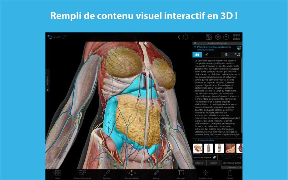 Atlas d’anatomie humaine 2024 : Corps humain entier en 3D Application  officielle dans le Microsoft Store