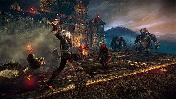 The Witcher 2: Assassins of Kings — 13