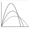 Projectile Motion - Two Bodies Comparison