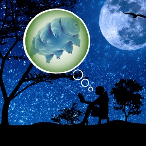 Tales of the Tardigrade