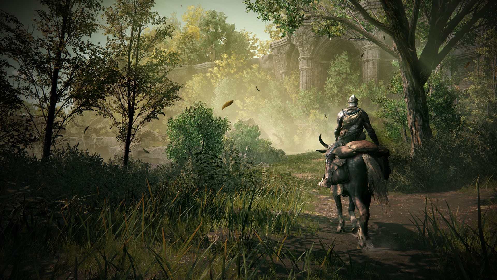 Screenshot 5 from Elden Ring: Shadow of the Erdtree