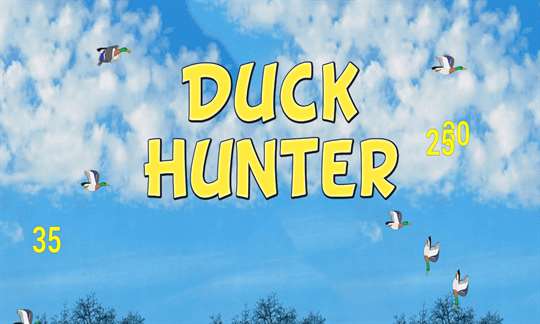 The Duck Hunter screenshot 1