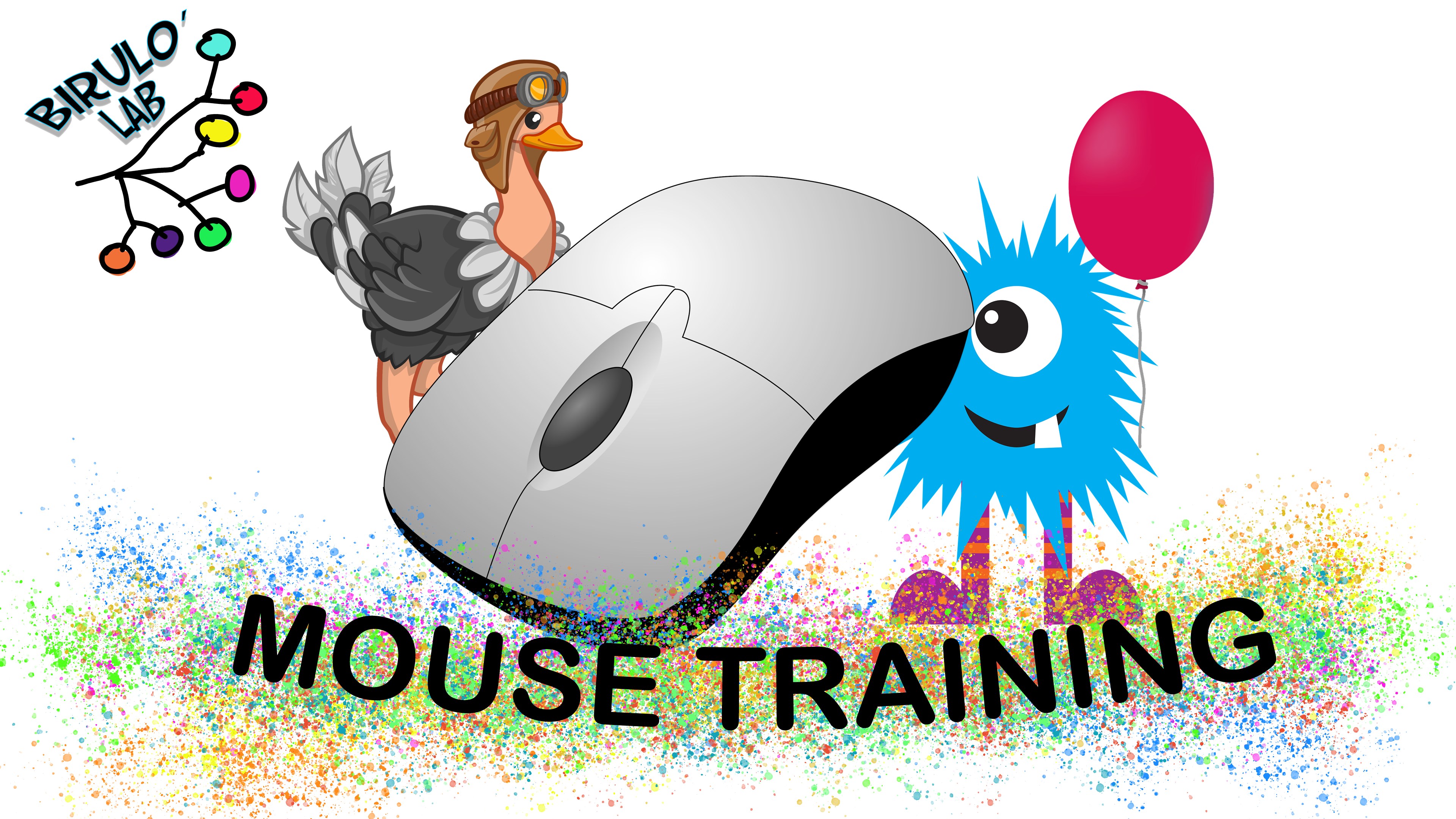 Acquista Mouse Training Microsoft Store itIT