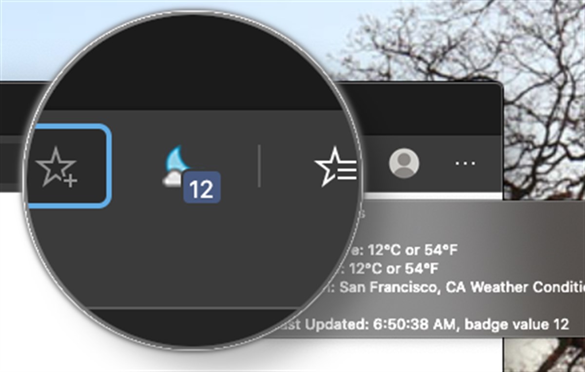 Weather Forecast