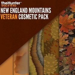 theHunter Call of the Wild™ - New England Veteran Cosmetic Pack