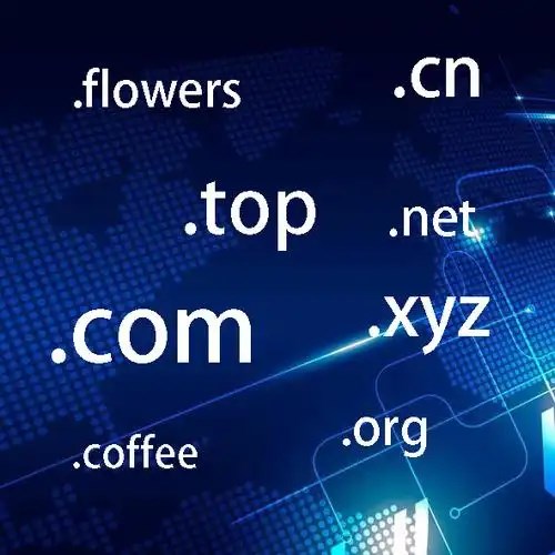 查询指定域名WHOIS信息 icon