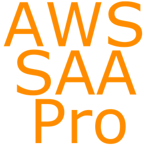 AWS Cert Solution Architect Associate Prep Pro