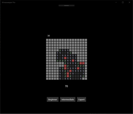 Minesweeper Pro screenshot 1