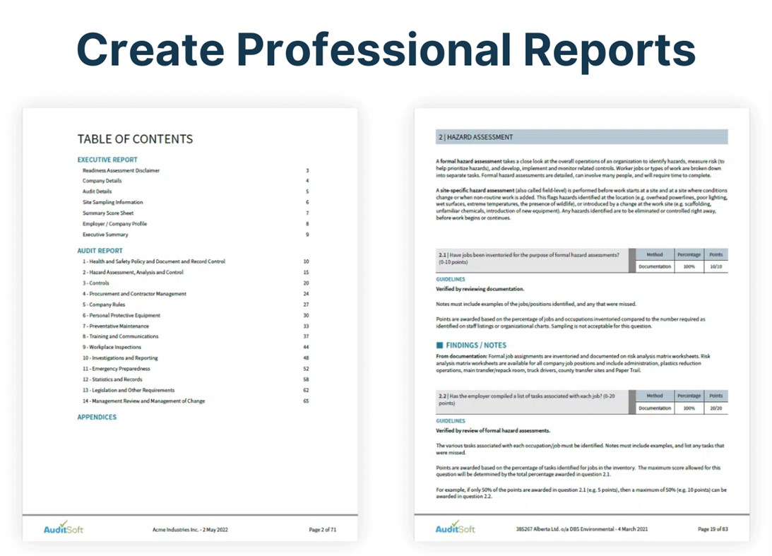 #2. auditsoft (Windows) di: AuditSoft Inc.