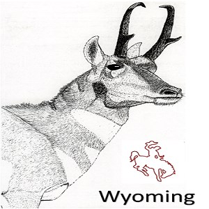 Wyoming_Antelope_Draw
