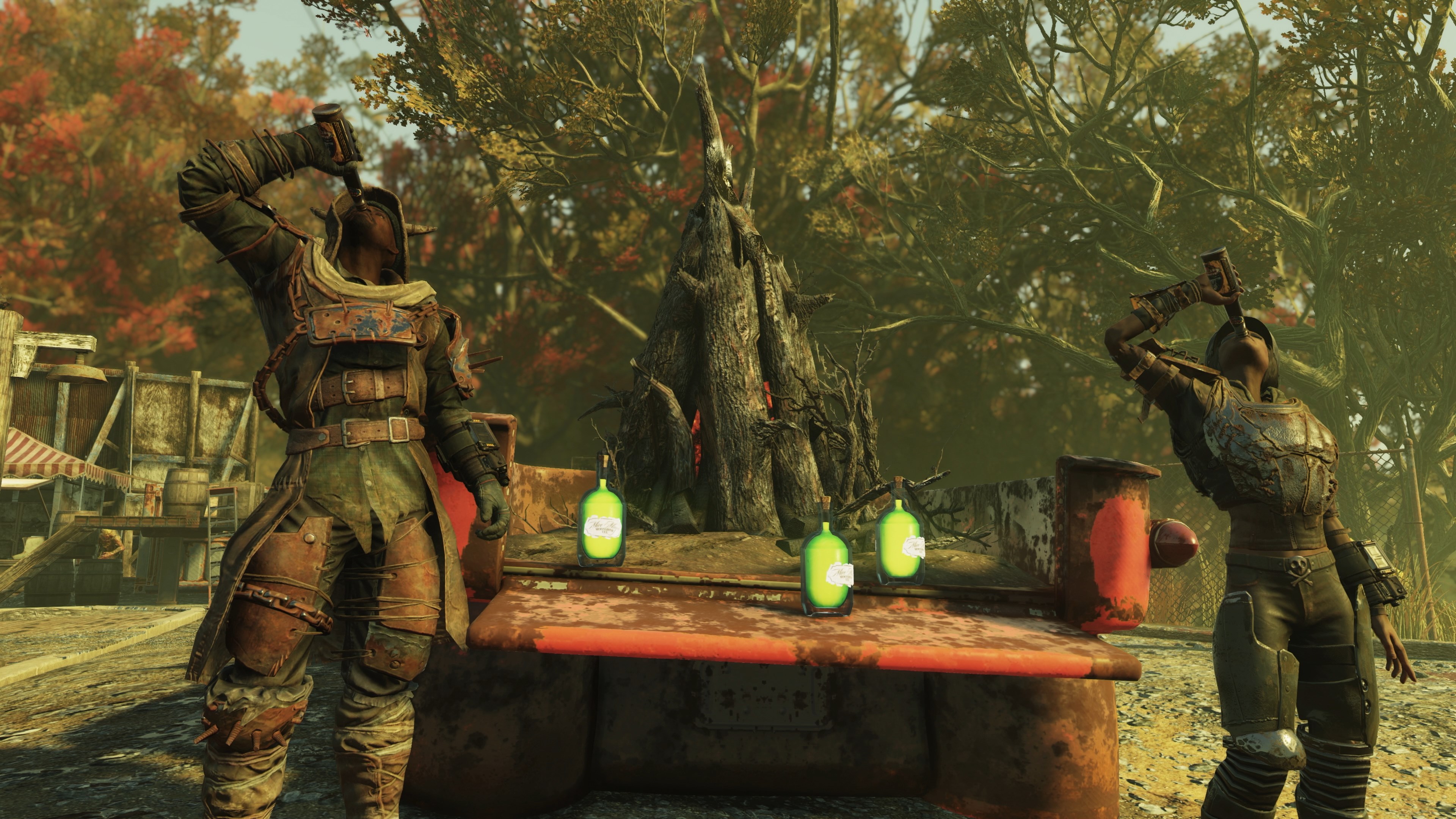 Скриншот №9 к Fallout 76