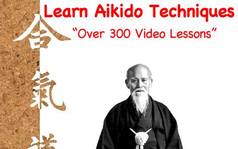 Aikido Techniques Screenshots 1