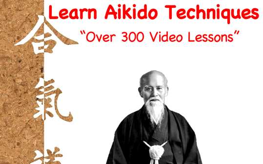 Aikido Techniques Training screenshot 1