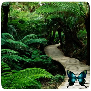 Descargar HD Super Wallpapers