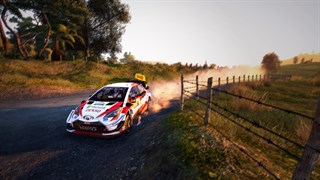 WRC 9 Deluxe Edition FIA World Rally Championship screenshot 5