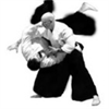 Aikido Master Class