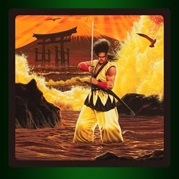 Aperçu ACA NEOGEO SAMURAI SHODOWN