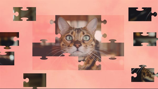 Jigsaw Puzzle Cats — 5
