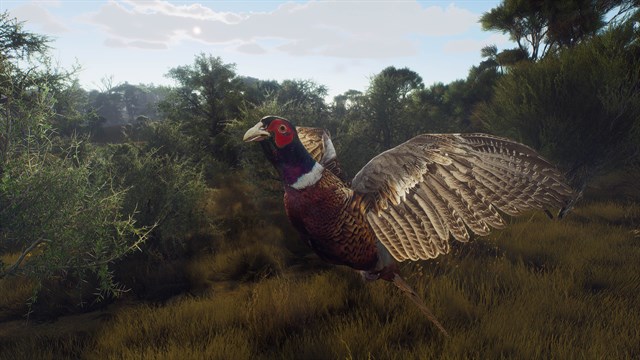 Way of the Hunter - Matariki Park screenshot 3