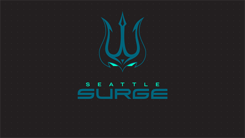 Modern Warfare® - Seattle Surge Pack