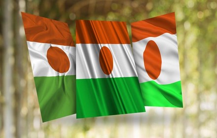 Niger Flag Wallpaper New Tab small promo image