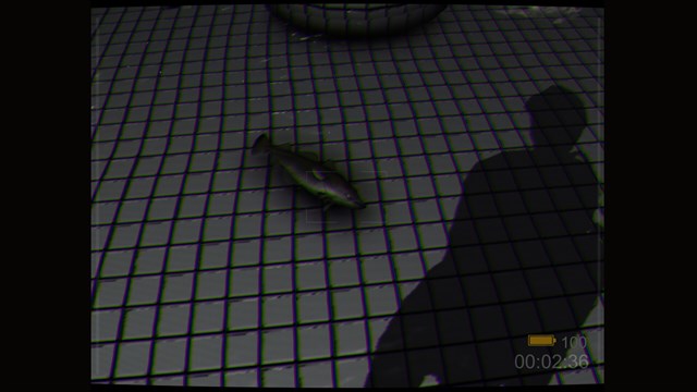 Backrooms: Poolrooms screenshot 2