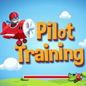 New Pilot Training