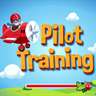 New Pilot Training