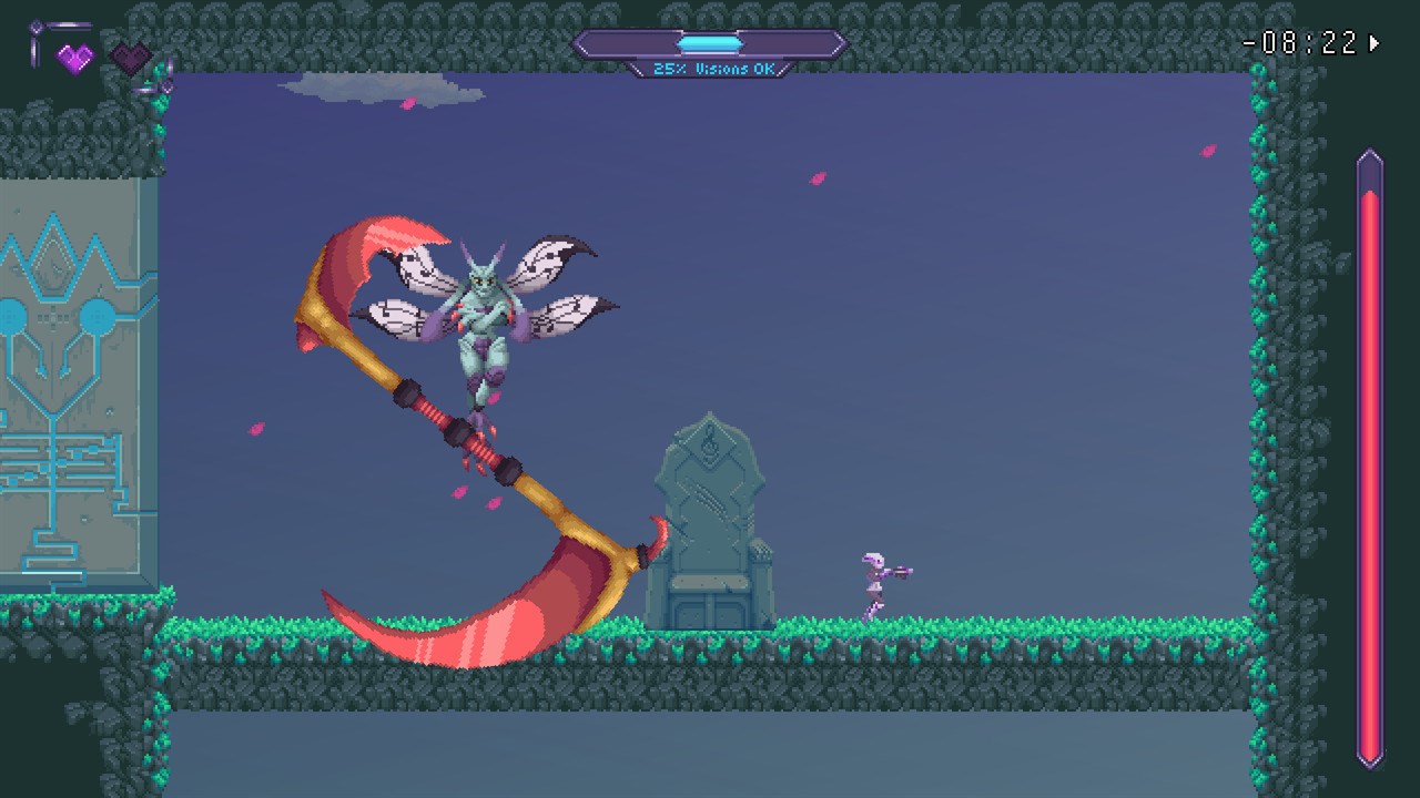 Vision Soft Reset screenshot 4