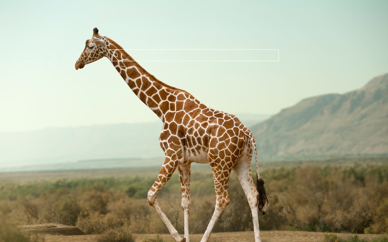 Giraffe HD Wallpaper New Tab Theme