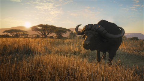 theHunter: Call of the Wild™ - Vurhonga Savanna