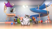 Hamster Playground