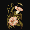 Ten Flower Wallpaper New Tab icon