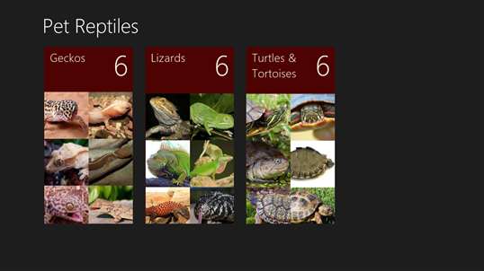 Pet Reptiles screenshot 2