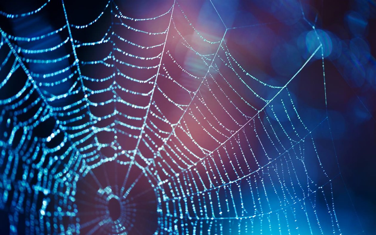 #1. Cobwebs (Windows) 由: Microsoft Corporation