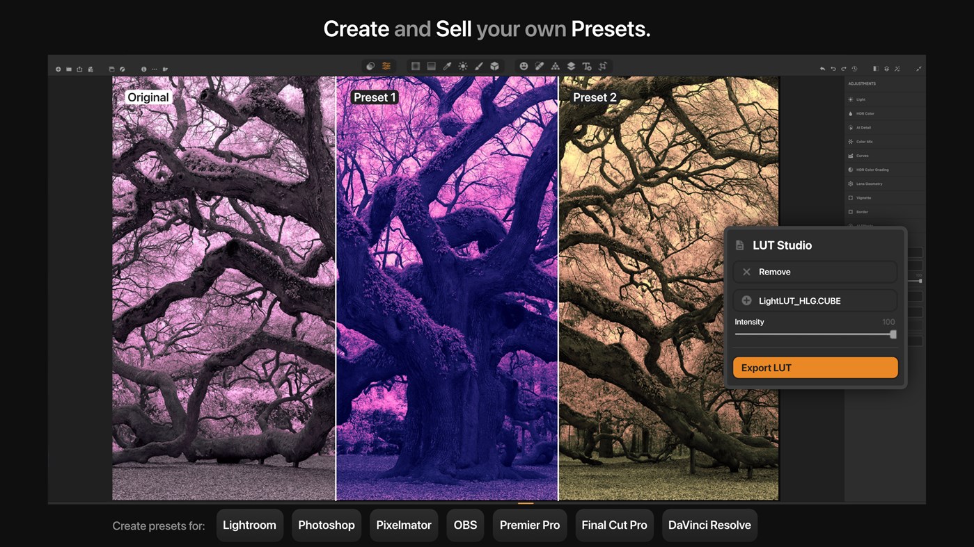#5. Irix HDR Classic Pro - AI photo editor (Windows) Podle: Binaire Private Limited