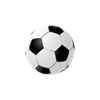 Goal Centre