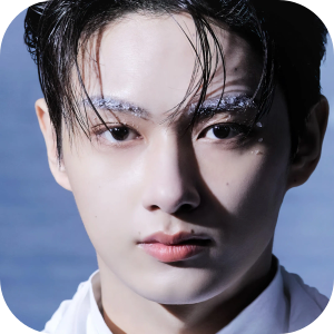 Seventeen themed 4K wallpaper HomePage icon